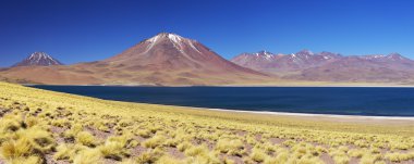 Desert lake Laguna Miscanti and Miscanti volcano, Altiplano, Chile clipart