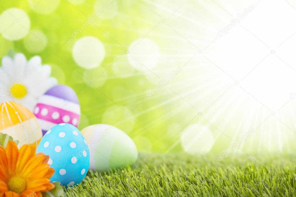 Decorated Easter eggs in the grass with a green background