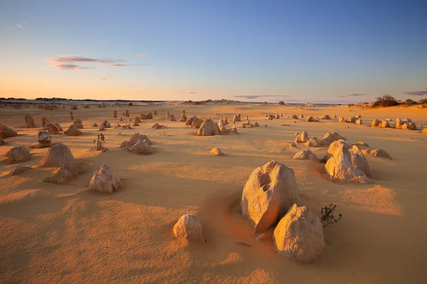 Puesta de sol sobre el desierto de Pináculos, Parque Nacional Nambung, Austral —  Fotos de Stock