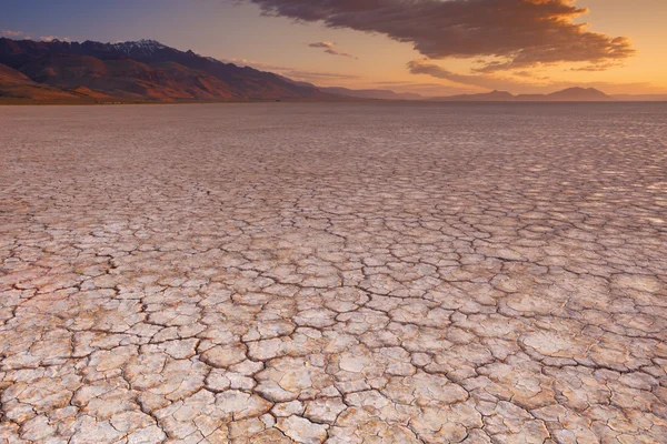 Gebarsten aarde in externe Alvord woestijn, Oregon, Usa bij zonsopgang — Stockfoto