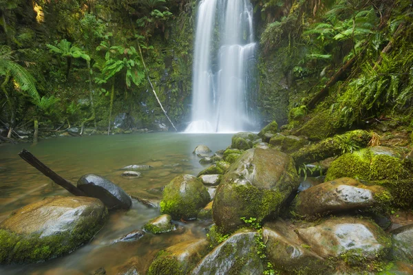 Yağmur ormanları şelaleler, Beauchamp Falls, büyük Otway Np, Victoria, Avustralya — Stok fotoğraf