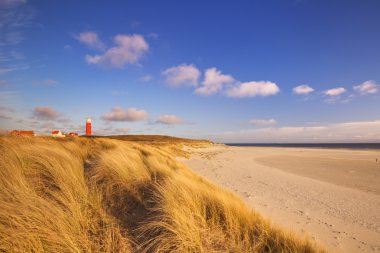 Lighthouse on Texel island in The Netherlands in morning light clipart