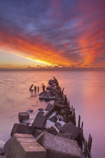 Zonsopgang boven zee op het eiland Texel, Nederland — Stockfoto