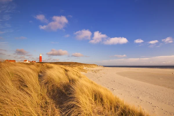 Maják na ostrově Texel v Nizozemsku v ranním světle — Stock fotografie