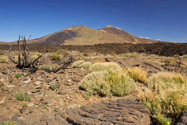 Monte Teide en Tenerife, Islas Canarias, España — Foto de Stock