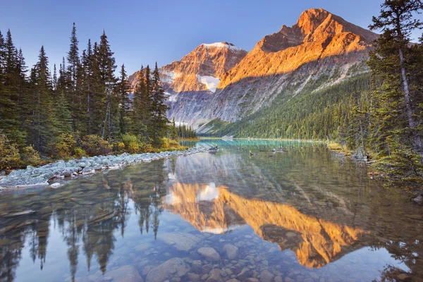 Mount Edith Cavell und See, Jaspis np, Kanada bei Sonnenaufgang — Stockfoto