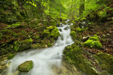 Slovensky Raj, Slovakya yemyeşil bir geçit şelale