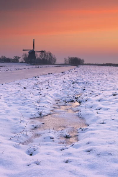 Typical Dutch landscape with windmill in winter at sunrise — Stock Photo, Image