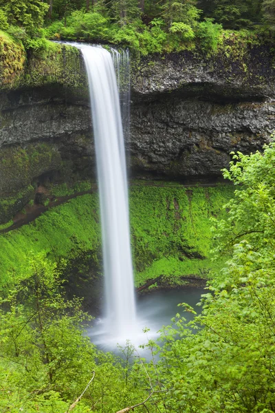 South Falls no Silver Falls State Park, Oregon, EUA — Fotografia de Stock