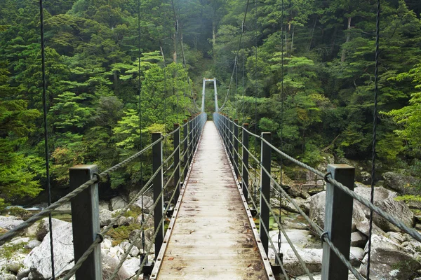 Esőerdő-híd Yakusugi leszállni a Yakushima Island, Japán — Stock Fotó