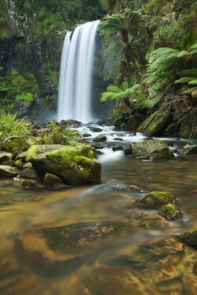 熱帯雨林の滝、フェザーデール野生動物、偉大なオットウェー国立公園, オーストラリア — ストック写真