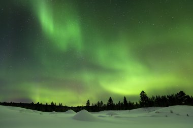 Aurora borealis karlı kış manzara, Fin Lapland üzerinde