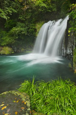 Kawazu waterfall trail, Izu Peninsula, Japan clipart