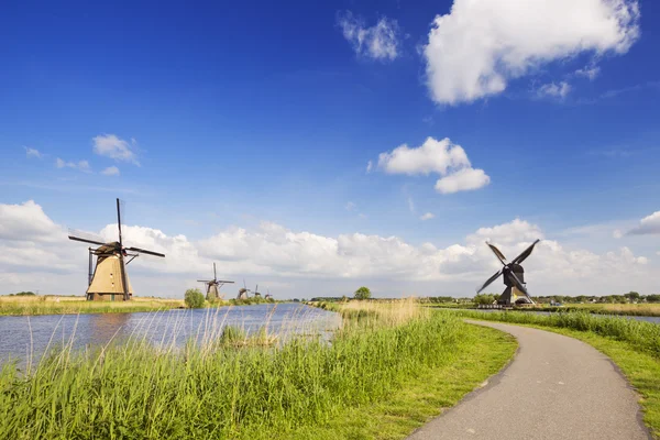 Hagyományos holland szélmalmok, egy napsütéses napon a Kinderdijk — Stock Fotó