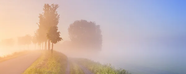 Ködös sunrise tipikus polder táj, Hollandia — Stock Fotó