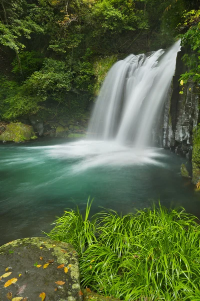 Kawazu waterfall trail, Izu Peninsula, Japan — Stock Photo, Image