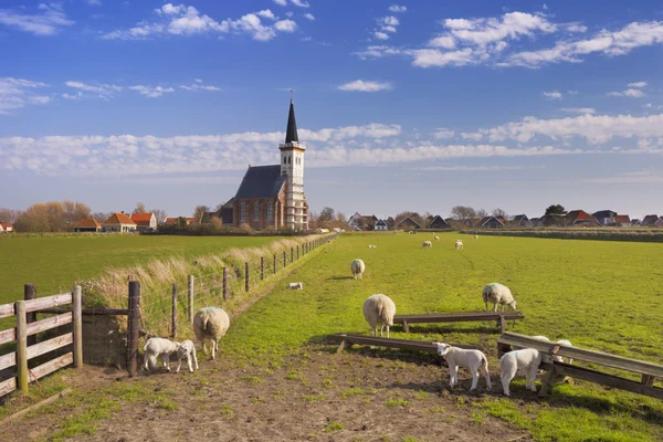 Eglise de Den Hoorn sur l'île de Texel aux Pays-Bas — Photo