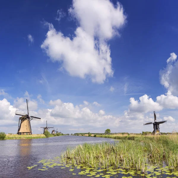 Hagyományos holland szélmalmok, egy napsütéses napon a Kinderdijk — Stock Fotó