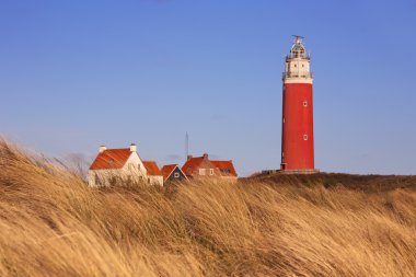 Lighthouse on Texel island in The Netherlands in morning light clipart