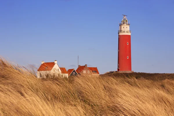 Farol na ilha de Texel nos Países Baixos sob luz da manhã — Fotografia de Stock