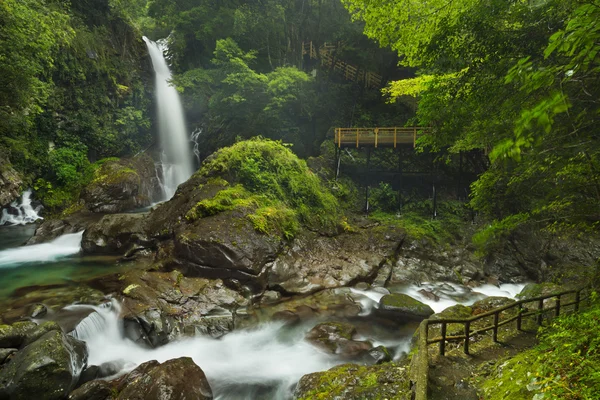 Sentiero a cascata Kawazu, penisola di Izu, Giappone — Foto Stock