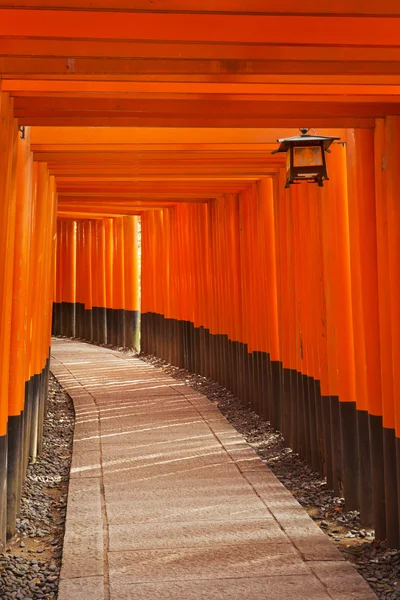 Torii gates of the Fushimi Inari Shrine in Kyoto, Japan — Stock fotografie