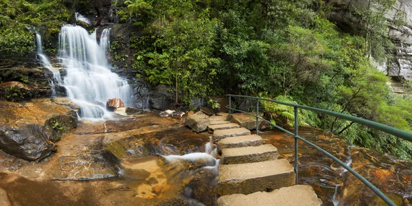 Rainforest waterfalls, Blue Mountains, New South Wales, Australi — Stock Photo, Image