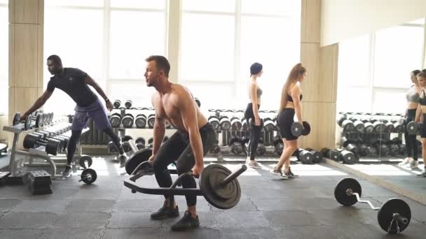 Shirtless young man doing heavy weight exercise for biceps — Stock Footage Shirtless young man doing heavy weight exercise for biceps Royalty Free Stock Footage