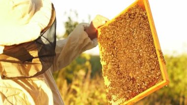 Arıcı elinde arılarla bir bal kafesi tutuyor..