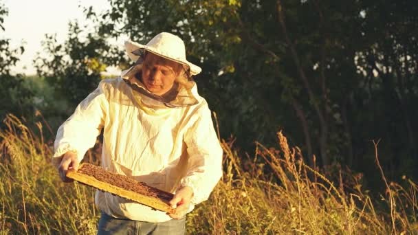 Apiculteur tient une cage à miel avec des abeilles dans ses mains. — Video