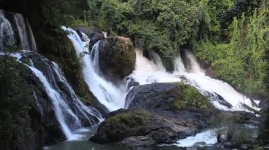 Tayland Jungle şelale