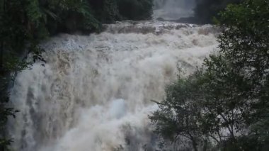 Ormanda, Tayland kabarcıklanma şelale