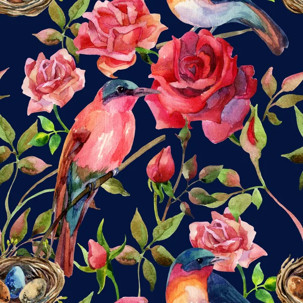 Watercolor birds on the pink and red roses — Stock Photo, Image