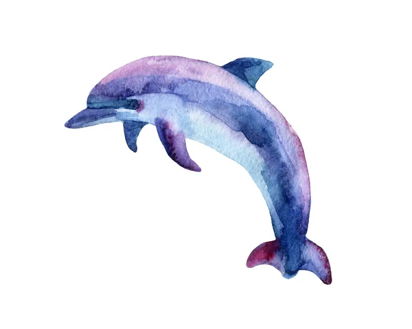 Jumping blue dolphin. — Stock Photo, Image