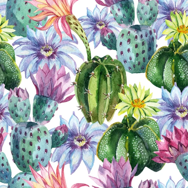 Watercolor seamless cactus pattern — Stock Photo, Image