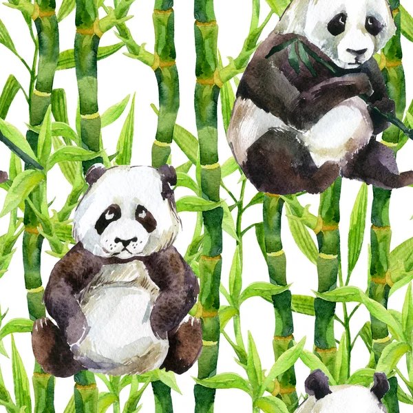 Panda med bambu akvarell seamless mönster — Stockfoto