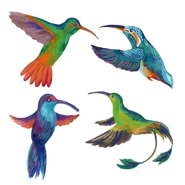 Aquarel set van vier colibri. — Stockfoto