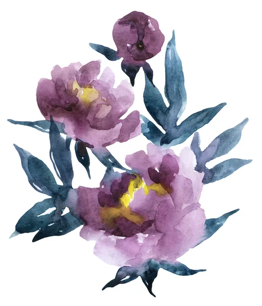 Hand painted watercolor peonies — Stock Photo, Image