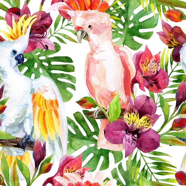 Watercolor Australian Cockatoo seamless pattern — Stock Photo, Image