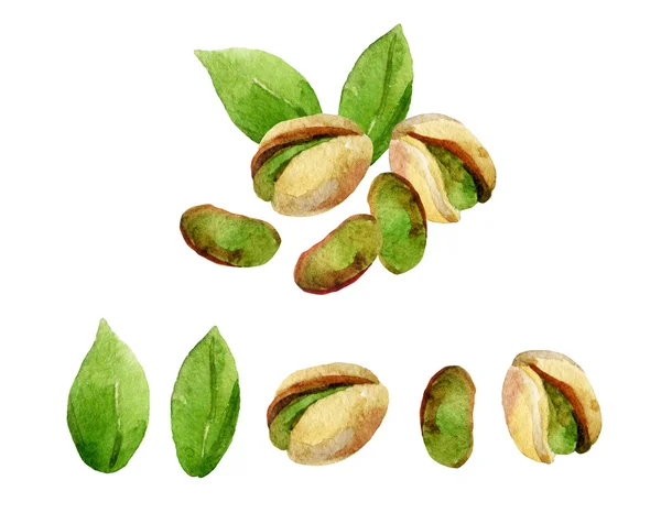 Pistacchi isolati su fondo bianco — Foto Stock