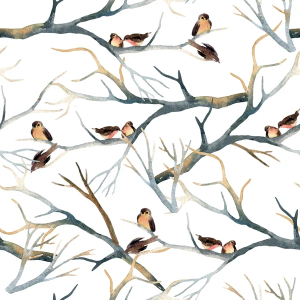 Watercolor birds on the tree branches — Stock Photo, Image