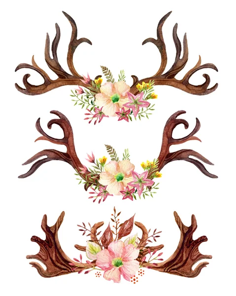 Watercolor floral antler. — Stock Photo, Image