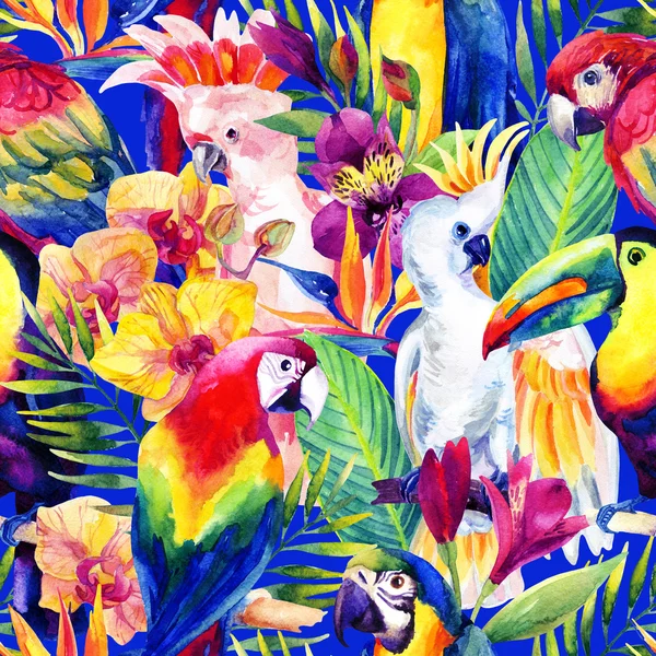 Акварельні папуги з тропічними квітами безшовний візерунок — стокове фото