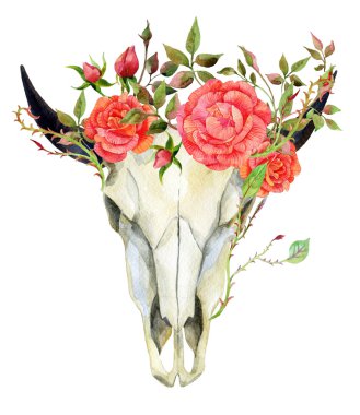 suluboya buffalo skull