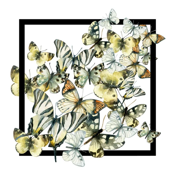Watercolor butterfly frame. — Stock Photo, Image