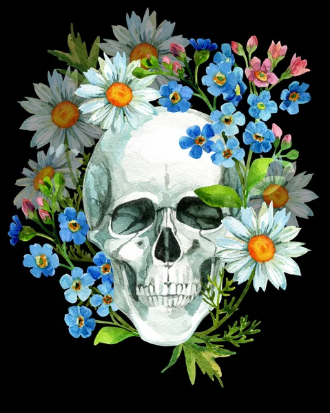 Watercolor human skull — Stock Photo, Image