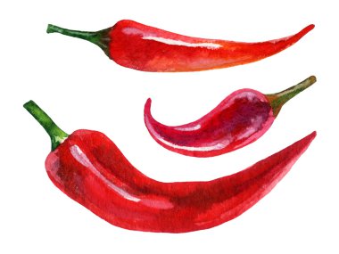 İllüstrasyon kırmızı biber biber, el suluboya kümesi boyalı