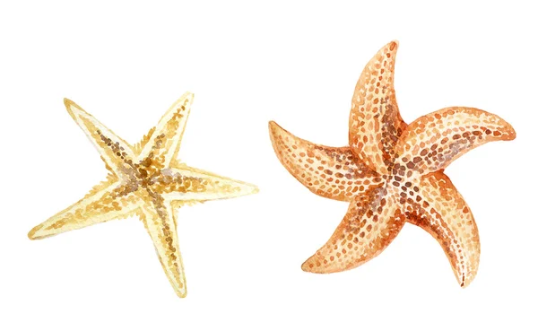 Akvarel starfishes izolované — Stock fotografie