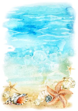Suluboya beach illüstrasyon deniz kabukları ve starfishes ile