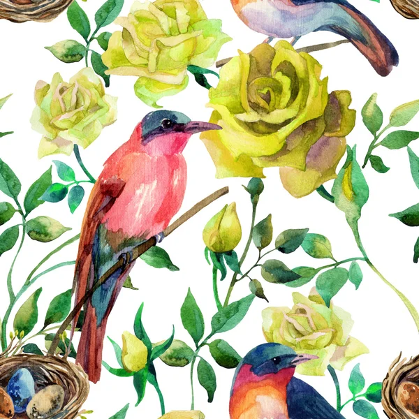 Watercolor birds on the yellow roses — Stock Photo, Image